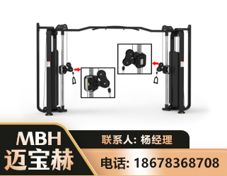 菏泽大飞鸟训练器